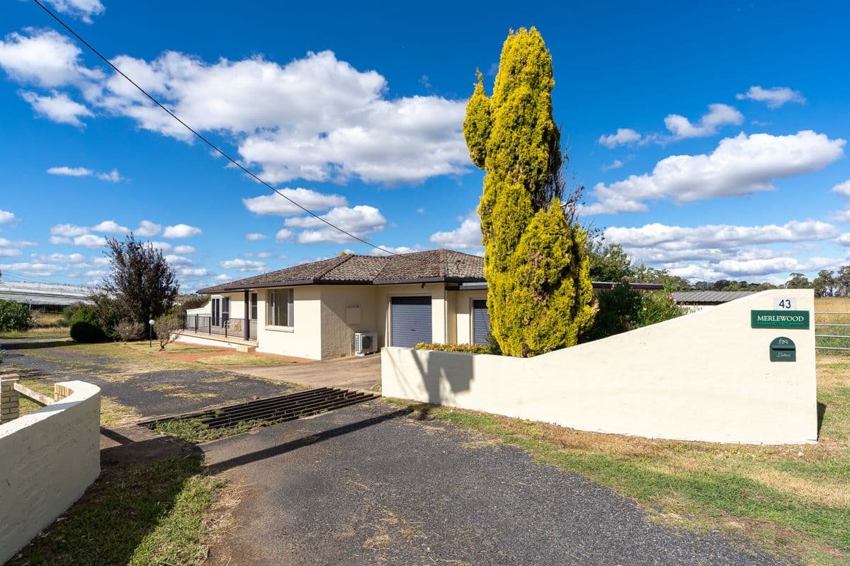 43 Carthew Road