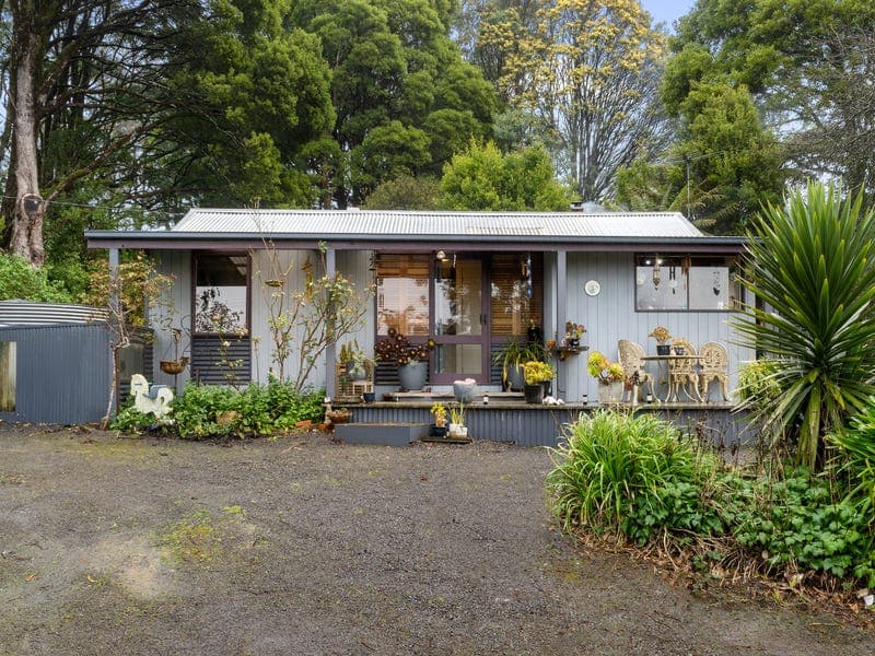 30 Buchanan Street, Beech Forest