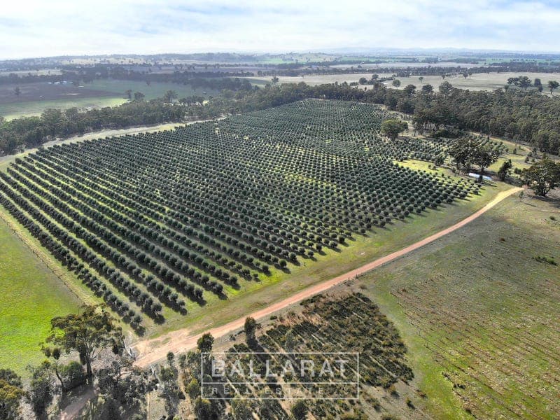 150 Susans Lane Percydale Via