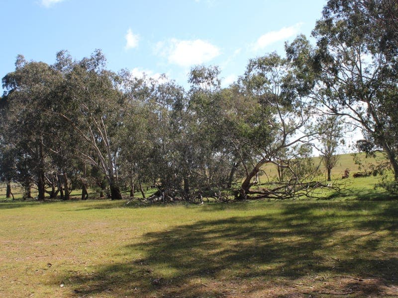 295 Rodborough Road, Majorca