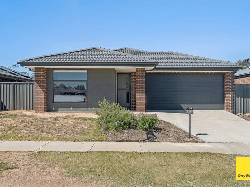 36 Eucalyptus Street, Jackass Flat