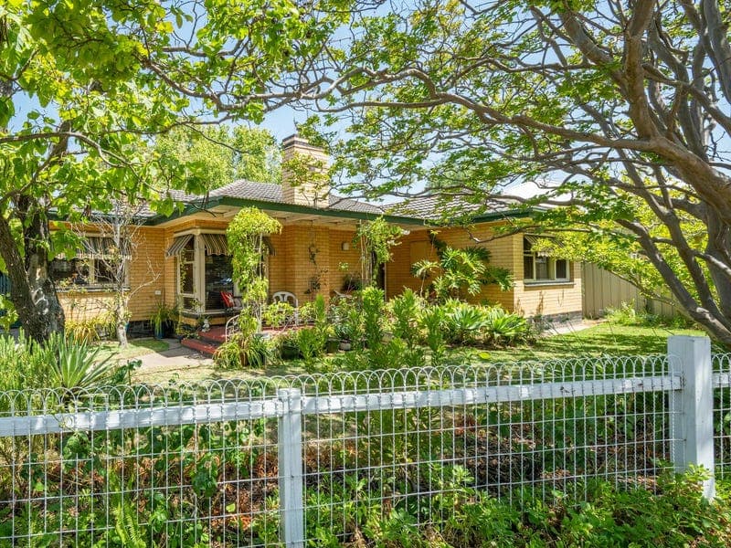 10 McEwen Street