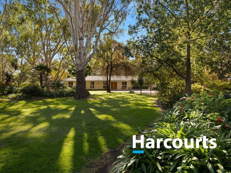 1147 Great Alpine Road, Tarrawingee