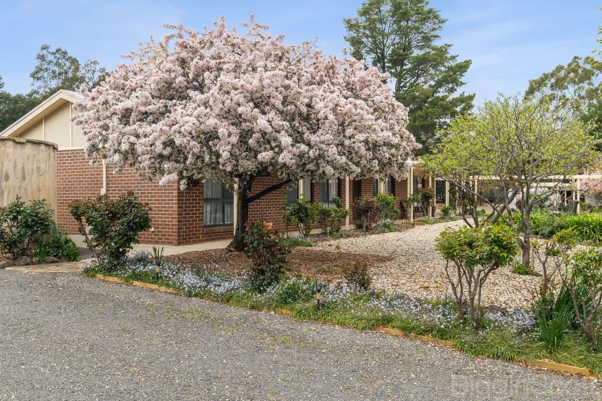 492 Maldon Newstead Road