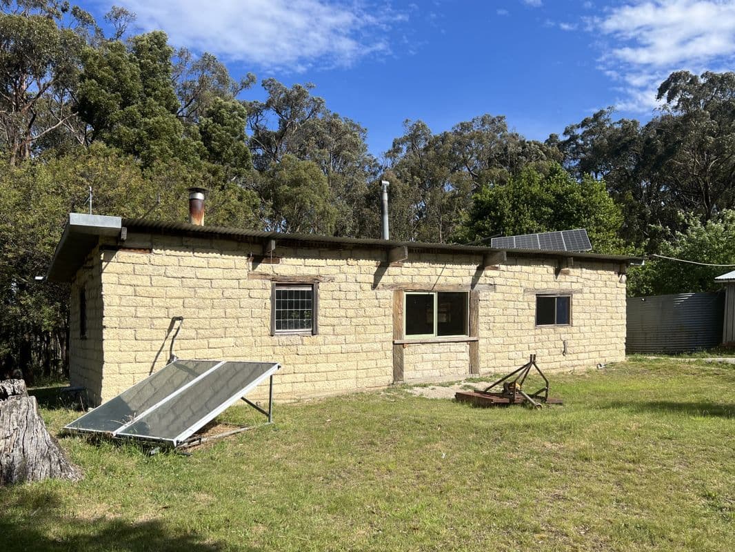 38 BLUE GUM TRACK