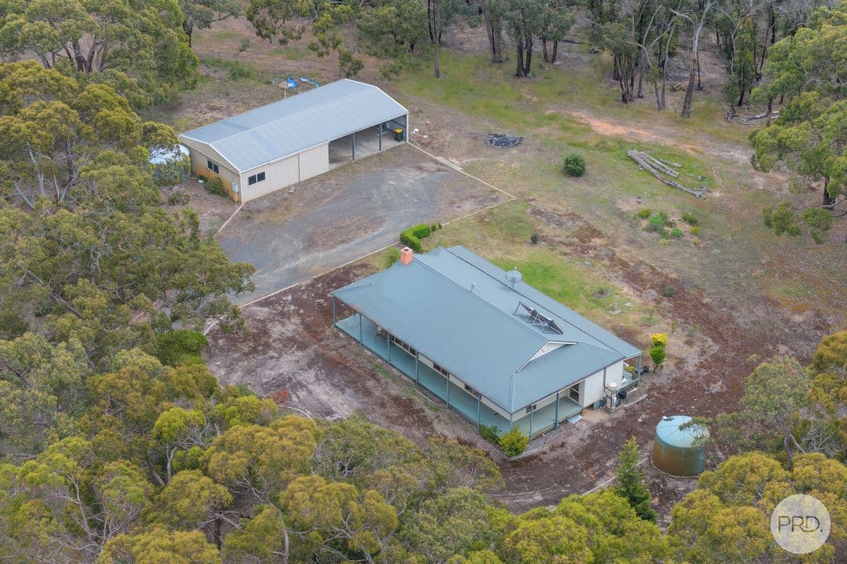 58 Swanson Road