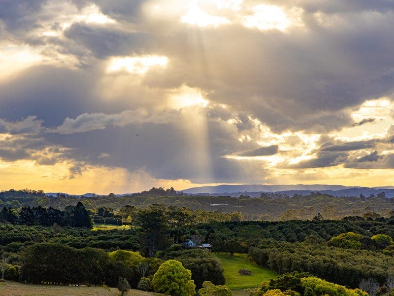 519 PEARCES CREEK ROAD