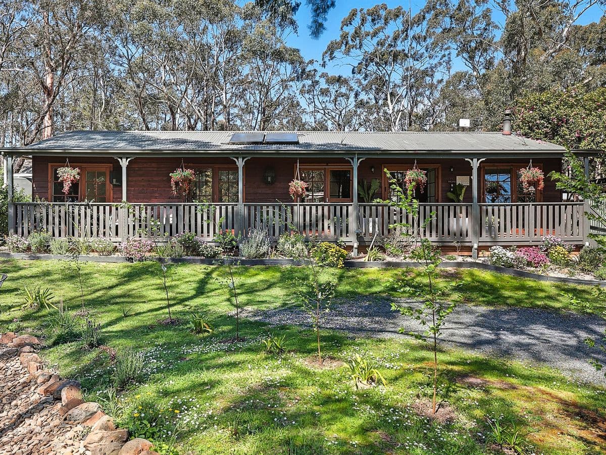 53 Acacia Avenue