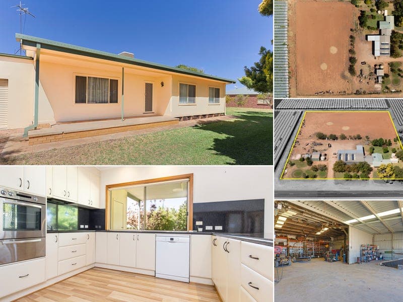 111 Paschendale Avenue, Yelta