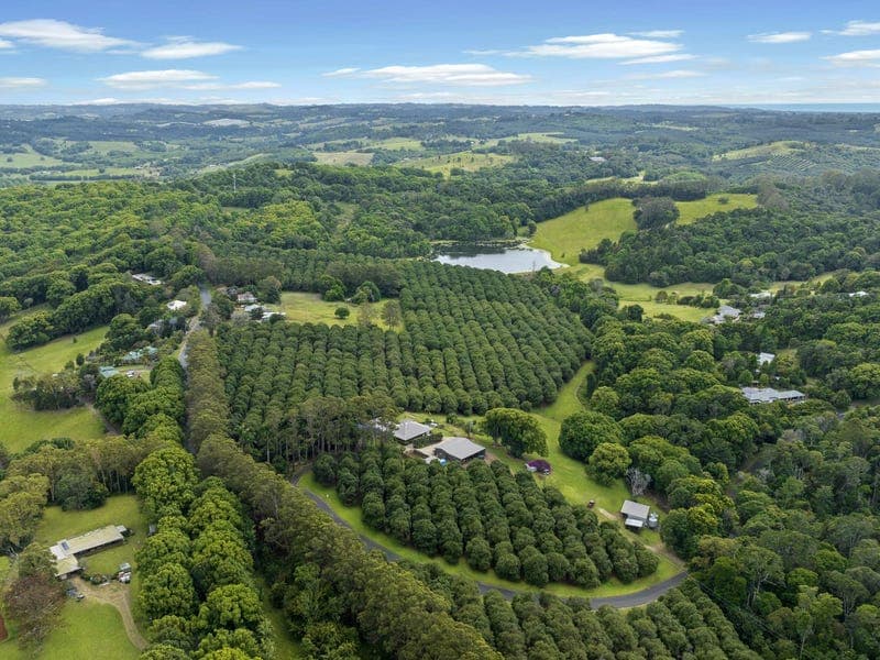 596 Pearces Creek Road, Alstonvale