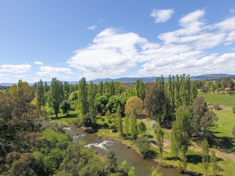 1270 Mansfield-Woods Point Road, Piries