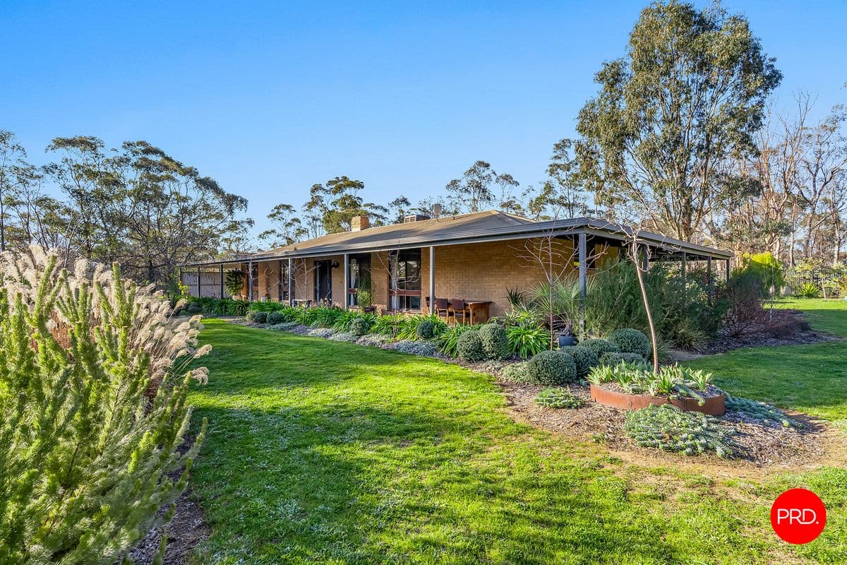 5 Warde Street
