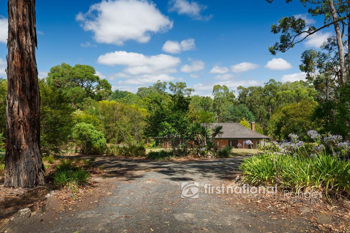 58 Lusatia Park Road