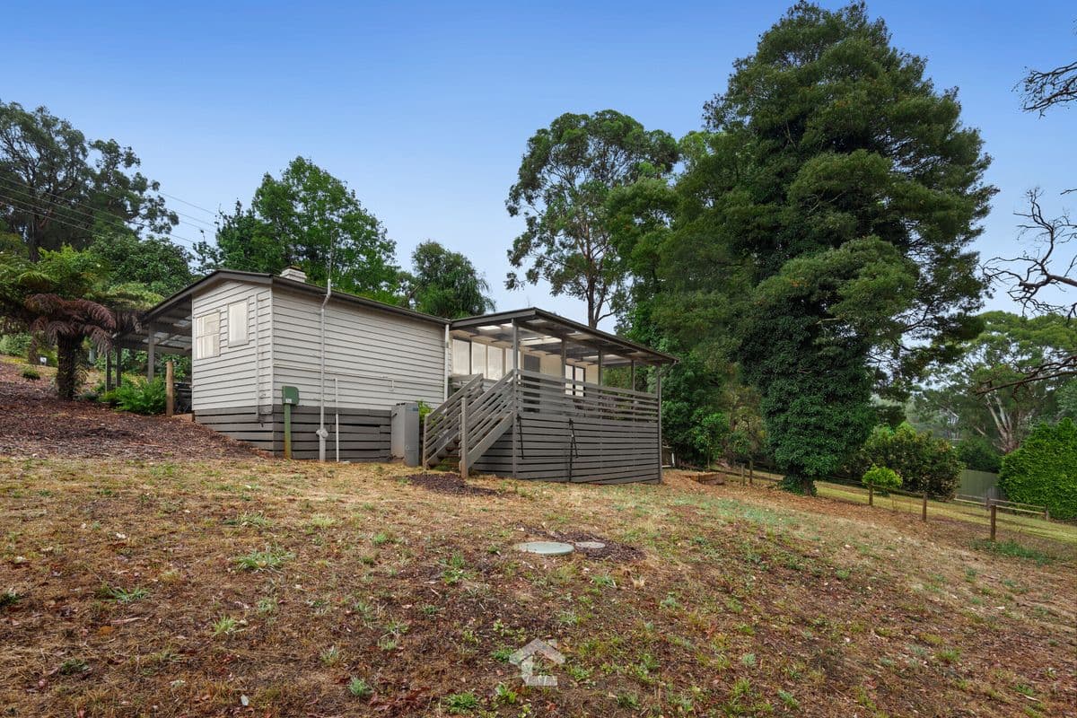 53 Jellicoe Avenue