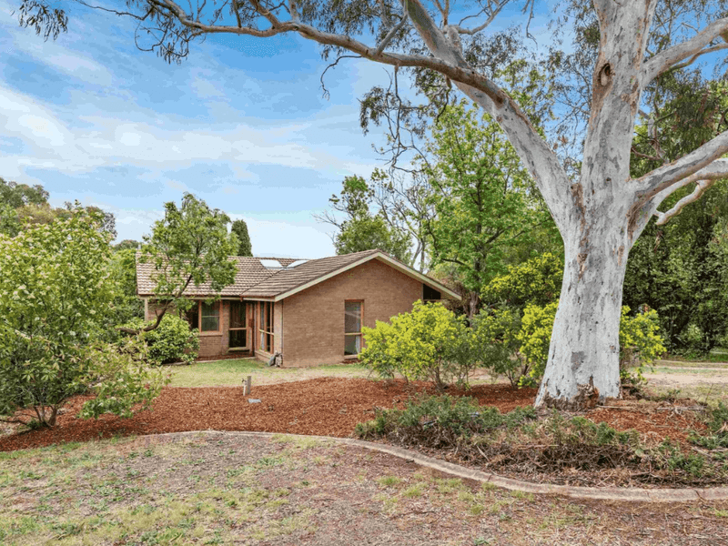 6 Lynch Street, Hughes