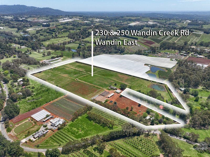 230 Wandin Creek Road, Wandin East