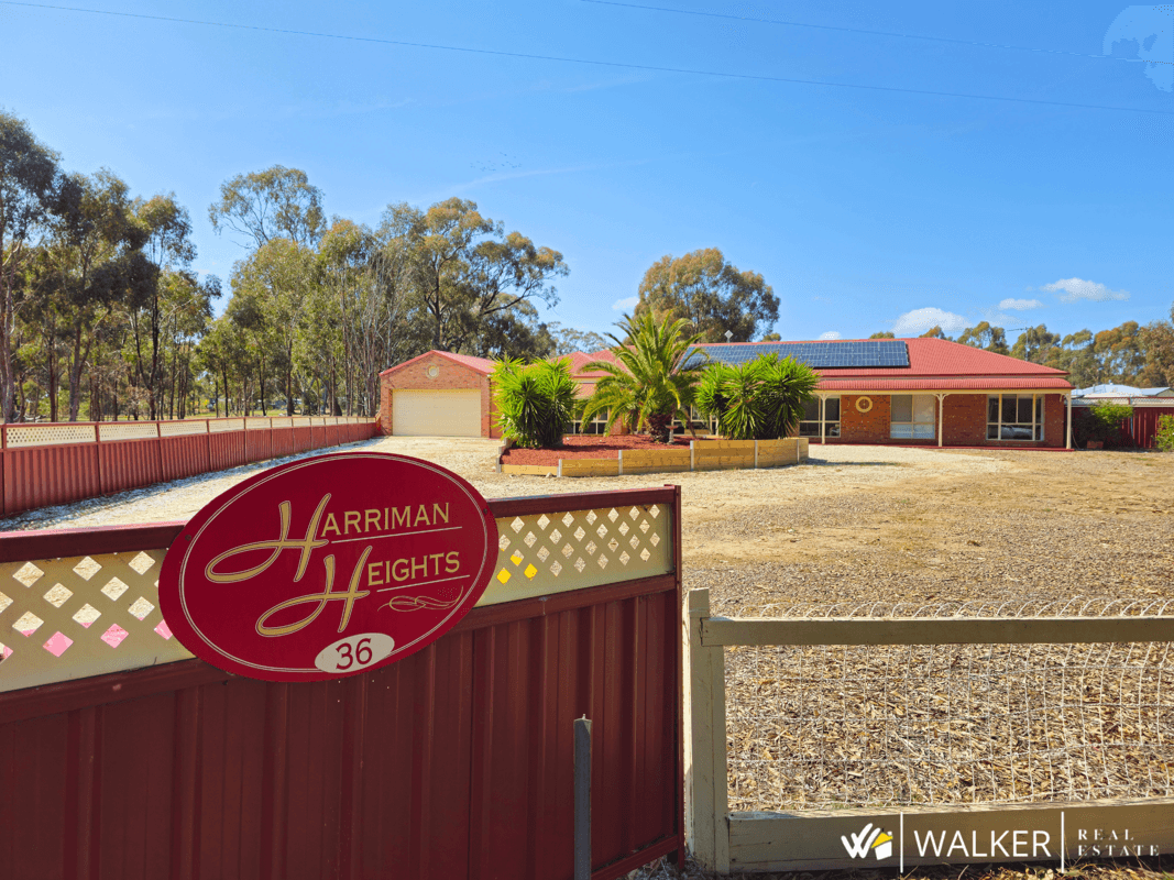 36 Harriman Road