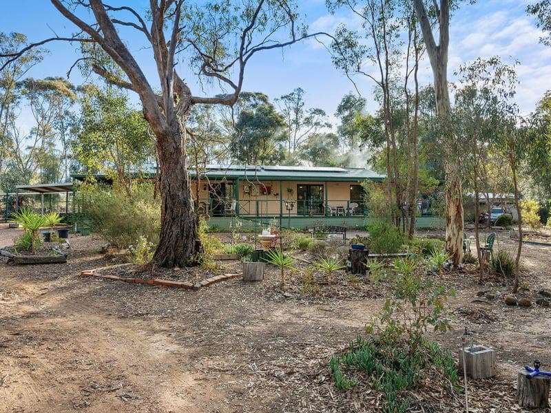 42 Dillion Court