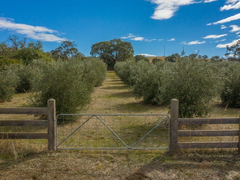 Lot 5, Sargeant Street