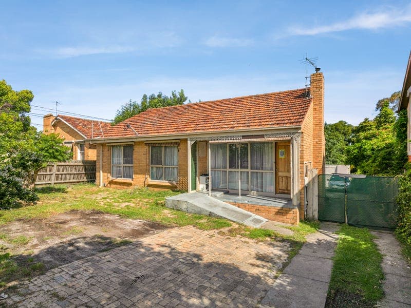 49 Sunset Boulevard, Jacana