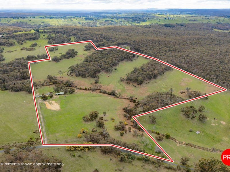 40 Honeysuckle Road
