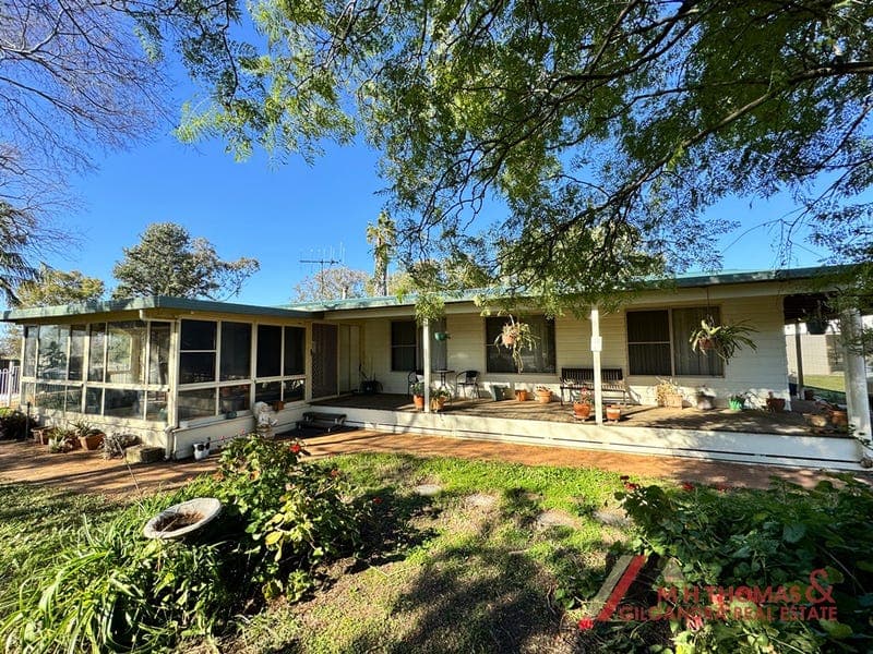 95 Sunshine Road, Collie