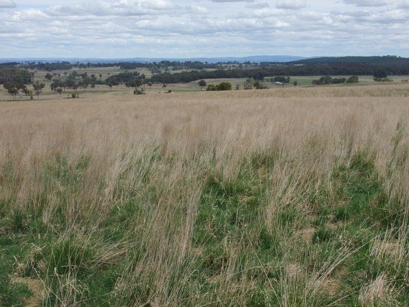1965 Campbells River Road, Burraga