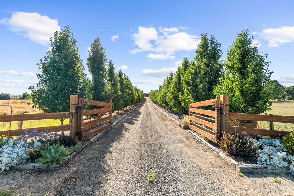 160 Yinnar Road