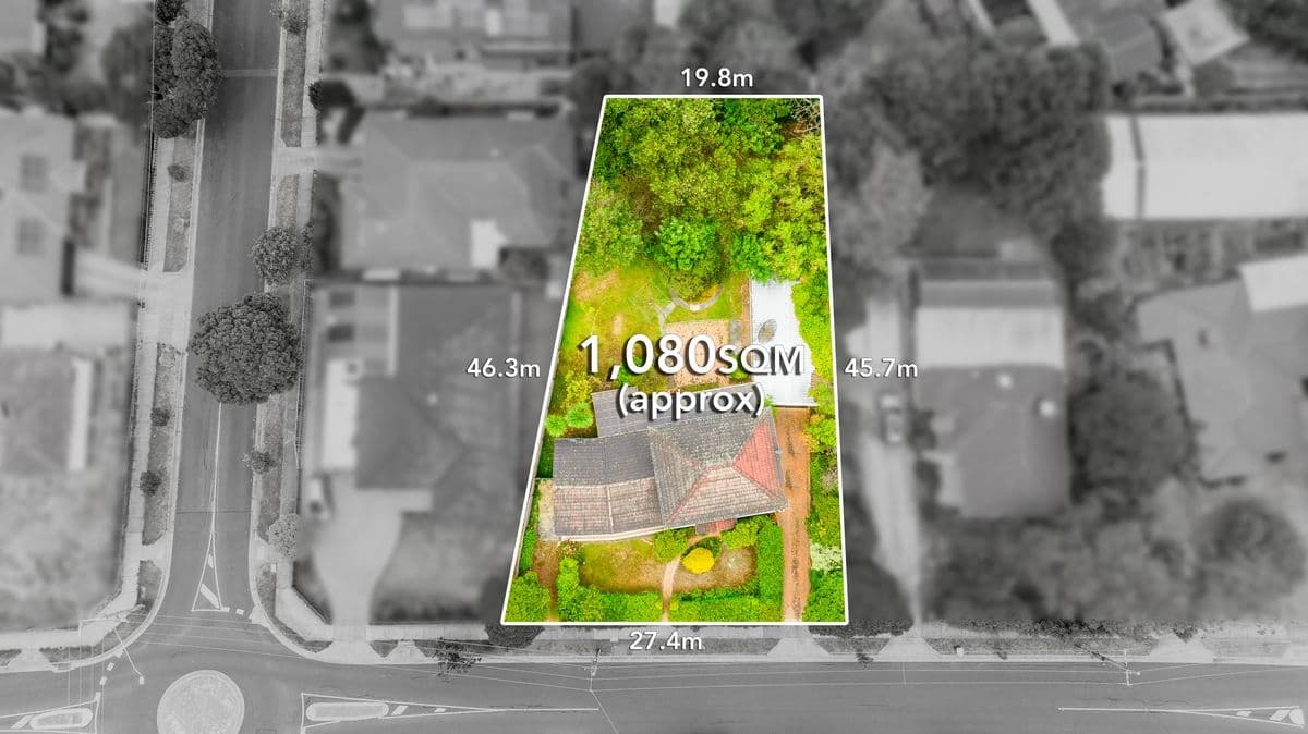 91 Orange Grove
