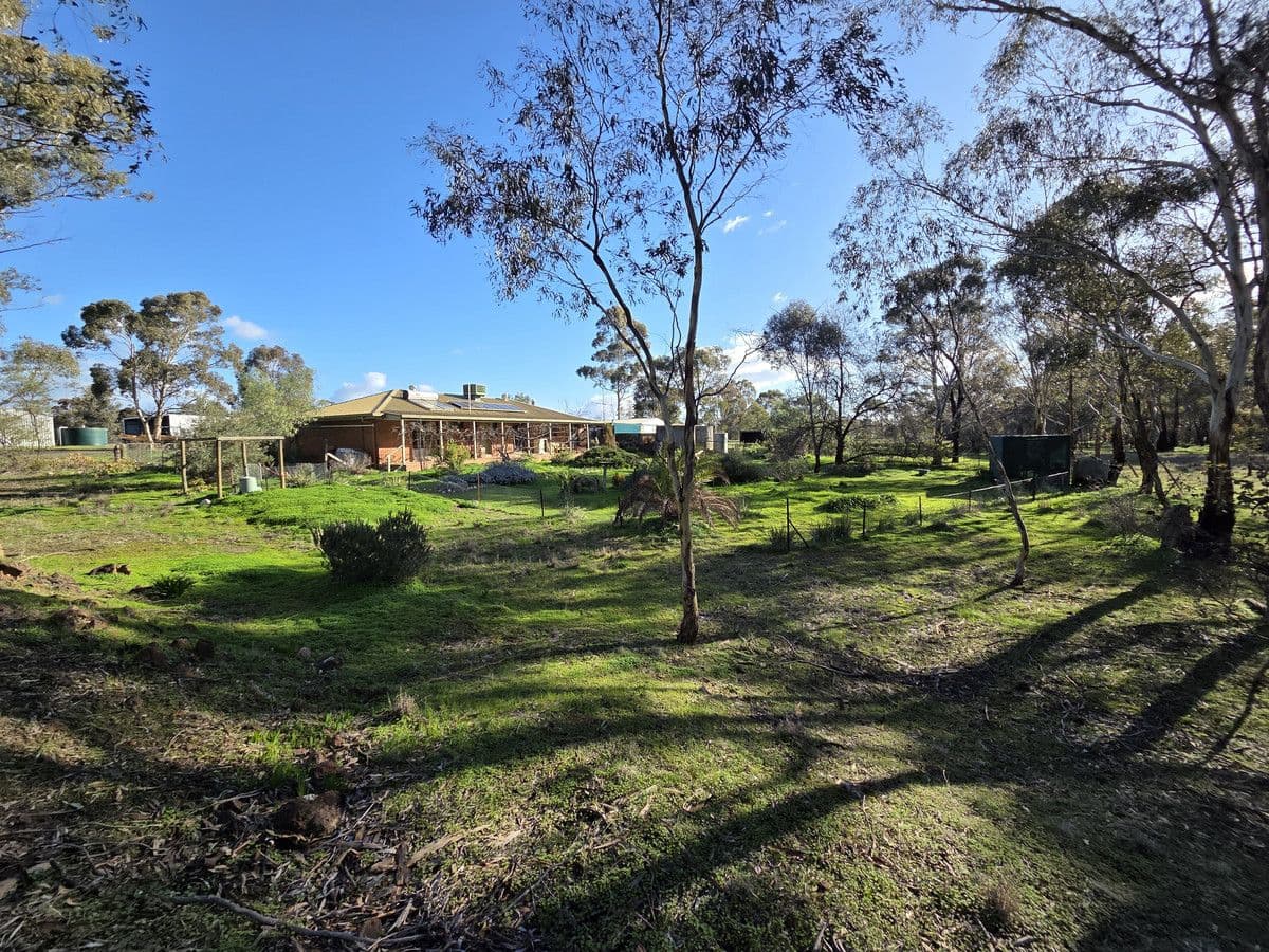 12 Miller Street