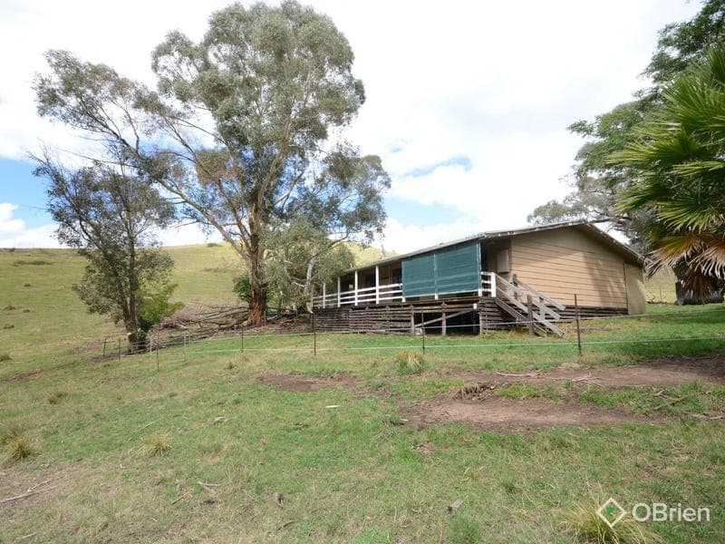 1479 Gelantipy Road, Murrindal